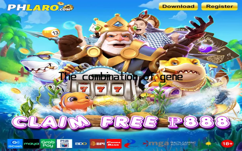 The combination of generous rewards and thrilling gameplay makes Sbet a top choice for slot enthusiasts